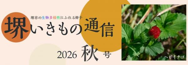 sakaiikimonotsushin9